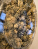 福东海 菊花茶【约100朵完整大花】金丝皇菊胎菊黄山贡菊特茶级花草茶 实拍图