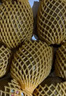 佳沛（zespri）新西兰阳光金奇异果 8个装 特大果单果重约124-146g 水果猕猴桃 实拍图
