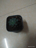 采缇（CAITI）【万人选购】多肉植物带盆 水晶玉露多肉植物幼儿园盆栽 一颗精品玉露【1个盆+土+肥】 原盆原土 实拍图