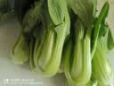 上海青约500g(油菜) 实拍图