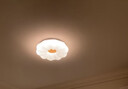 雷士（NVC）led吸顶灯卧室儿童房灯具原木奶油风智能舒适光 实拍图