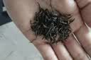 八马茶业武夷红茶 特级金骏眉花果蜜香250g金马罐装 送礼袋 实拍图