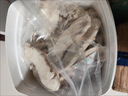 网易严选宠物零食冻干下午茶系列犬猫通用冻干零食酸奶彩虹冻干40g*1 实拍图