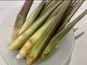 【现采现发】浙江新鲜茭白时令蔬菜带壳茭白高笋应季美食自种包邮 现采带壳茭白2.6-3斤 净重 实拍图
