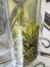 御恒春日照绿茶2026新茶春茶散装袋装茶叶特级浓香型板栗香特产绿茶 500g送赠品6选一 实拍图