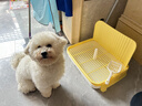 HELLOJOY狗狗厕所中小型犬防踩屎尿盆宠物用品小狗狗砂盆拉屎便盆专用大号 实拍图