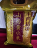 十月稻田 山西黄小米 5斤 真空袋装 山西特产 新米 小米黄小米 杂粮早餐粥 实拍图