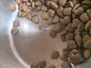 麦富迪狗粮 藻趣儿狗粮成犬粮牛肉螺旋藻 均衡营养2.5kg 实拍图