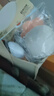 原创可爱毛绒海豹公仔挂件少女心钥匙扣装饰萌宠玩偶挂坠批发 5#扇贝公仔挂件 实拍图