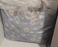 佳帮手收纳袋行李袋被子衣服棉被衣物整理搬家打包袋铆钉加固 85L1件装 实拍图
