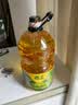 西王 食用油 玉米胚芽油 5L 非转基因物理压榨（新老包装交替发货） 实拍图
