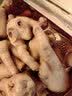 泰森泰森 冷鲜鸡爪400g 实拍图
