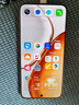 荣耀X70 焕新版 8+128 竹韵青 十面抗摔 8300mAh青海湖电池 IP69防水 荣耀绿洲护眼屏 AI手机 国家补贴 实拍图