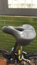 大行（DAHON）折叠自行车配件车座p8k3坐垫公路车座鞍单车减震座椅14-24寸通用 大坐垫【黑色】 实拍图