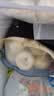 思念嵊州黑猪肉老面小笼包1.6斤32个 肉包手工速食包子早餐半成品面点 实拍图
