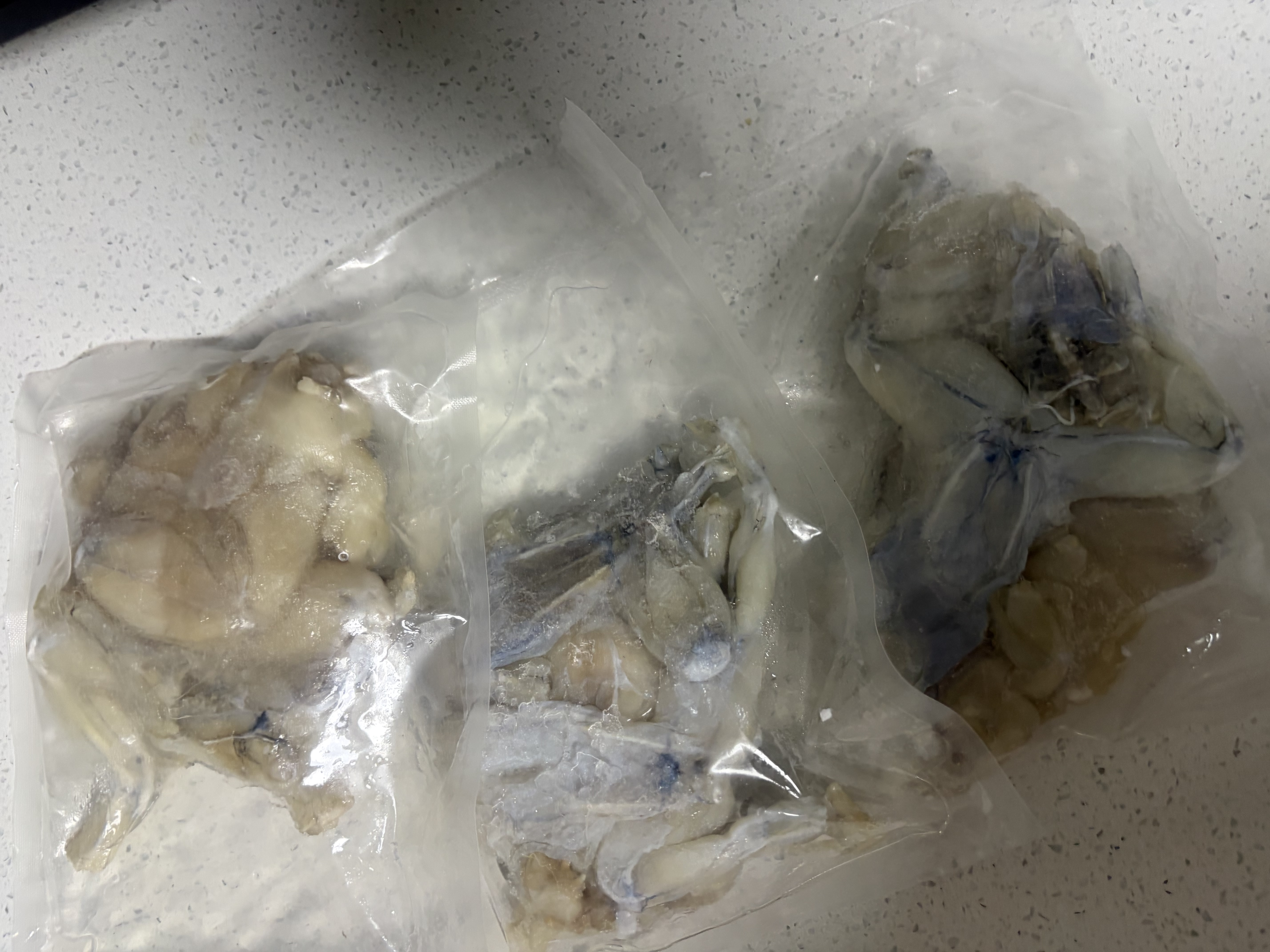 牛蛙特大鲜活现杀免处理田鸡麻辣牛蛙蛙腿生鲜半成品冷冻烧烤净重 去皮去头去内脏【每斤称4-5只】 大号【无冰3斤】活蛙现杀 实拍图