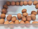都尔霍姆OMEGA-3有机鸡蛋 亚麻籽孕妈儿童营养鲜鸡蛋单枚45g礼盒源头直发 30枚 实拍图