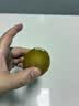 佳沛（zespri）新西兰 阳光金果25-27粒原箱特大果单果124-146g 猕猴桃水果礼盒 实拍图