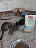 麦富迪猫粮 三文鱼鱼油磷虾猫粮10kg 全猫种20斤批发成猫幼猫粮 三文鱼鱼油幼猫粮1.5kg 实拍图