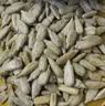 鲜窝窝 碧根果碎100g 坚果碎蛋糕装饰酸奶碗冰粉奶茶雪顶面包烘焙原料 实拍图
