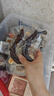 三只松鼠老卤鸭掌计量称重约500g卤香味鸭肉零食鸭爪熟食肉干肉脯 实拍图