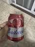百威啤酒mini红罐淡色拉格255ml*24小罐整箱装京东自营喜酒中秋送礼 实拍图