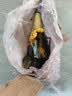 长白山 葡萄酒霜后红酒甜型11度微醺晚安酒东北特产晚收果酒740ml单支 实拍图