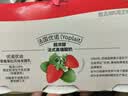 优诺（yoplait）优丝草莓果粒低温酸奶135g*3杯 经典法式醇厚 风味发酵乳 实拍图