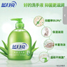 蓝月亮芦荟抑菌99.9%洗手液泡沫丰富滋润500g*2瓶+洗手液补充装500g*4袋 实拍图