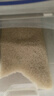 金龙鱼乳玉皇妃 新季稻谷 稻香贡米 东北大米 香米 粳米5kg*2/箱装 实拍图