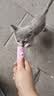 多特思猫零食猫条混合口味15g100支0添加0诱食剂防掉毛成幼猫咪鱼油罐头 实拍图