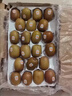 佳沛（zespri）新西兰阳光金奇异果巨大果22粒原箱单果146-175g 猕猴桃水果礼盒 实拍图