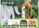 滴露（Dettol）消毒液洗衣衣物消毒水750mL 除螨杀菌混洗无忧 家居地板消毒 非84 实拍图