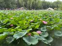 德芙丝滑牛奶巧克力 桶装480g 休闲零食 节日礼物 送女友礼物 实拍图