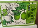 京鲜生四川小脆红珍珠脱骨李子 净重4.5斤 单果15g+ 生鲜水果 源头直发 实拍图