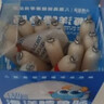 小鹿蓝蓝海洋无污染鳕鱼肠300g 宝宝儿童零食益生元鳕鱼肉肠 出游节日送礼 实拍图