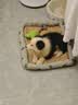 伯纳天纯狗粮中大型犬全价成年犬粮17kg羊肉蔓越莓味囤货装 实拍图