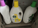 滴露（Dettol）衣物消毒液除菌3L*3瓶(柠檬+薰衣草+松木)衣服消毒水杀菌配洗衣液 实拍图