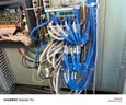 胜为六类水晶头 CAT6千兆网线网络连接头50个/盒 金属屏蔽RJ45镀金 8P8C宽带线接头 RC-9050 实拍图