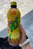 维他奶维他柠檬味茶饮料500ml*15瓶 饮料整箱装 分享装 实拍图