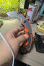 挺进者高硬度折叠爪刀 开刃锋利爪子刀  狐狸爪子刀 旋转随身折叠刀 锯齿款 实拍图