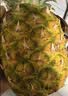 佳农 菲律宾黑钻甜心菠萝1.1kg 实拍图