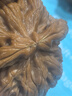 珀莱雅双抗面膜特证版10片保湿补水美白紧致焕亮肌肤 实拍图