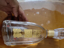 今世缘 淡雅国缘 幽雅醇厚型白酒 42度 500ml*2瓶  送礼白酒 实拍图