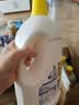 滴露（Dettol）衣物消毒液除菌柠檬3L*3 99.9%杀菌除螨内衣裤衣服消毒水配洗衣液 实拍图