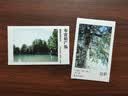 INSTAX富士instax立拍立得 mini相纸 彩虹单包10张+磁吸二合一相框 实拍图