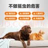 普安特宠物猫咪驱虫药驱虫体内外一体套装幼成虫跳蚤犬虱非泼罗尼爱滴克 实拍图