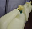 金鱼洗洁精大桶5kg*4瓶整箱装柠檬去重油 A类食品用餐厅家用洗涤灵 实拍图