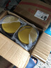 伊利中老年高钙低脂富硒奶粉 中老年奶粉成人奶粉送礼高蛋白营养 850g 实拍图