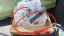 海康威视（HIKVISION）监控摄像头400万2K高清全彩夜视POE枪机网线供电AI人形检测可对讲室外监控器DS-IPC-K24H-LT 4MM 实拍图
